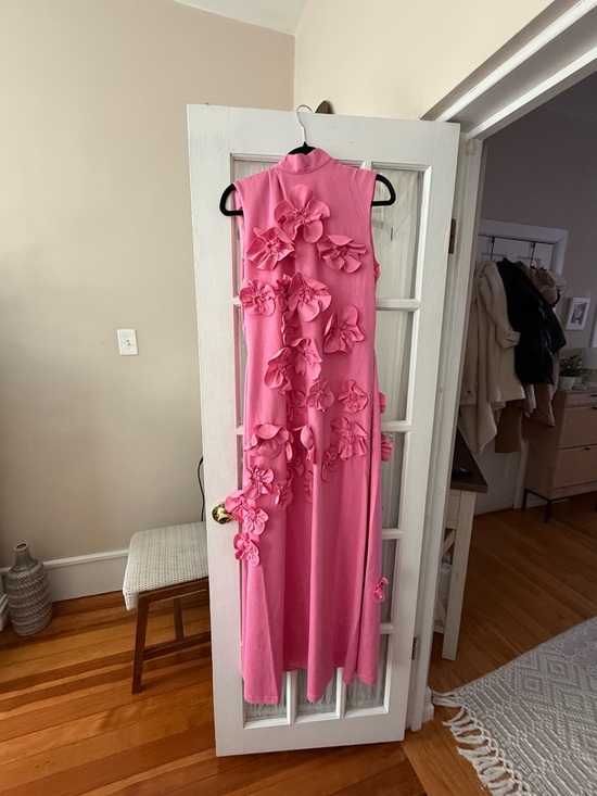 Olivia Label Dresses & Skirts - Sleeveless Pink Maxi Dress with 3D Floral Appliqués—XL
